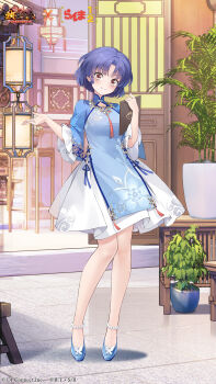 1girl blue_hair blue_shoes blush_stickers chibi chinese_clothes clipboard closed_mouth commentary_request copyright_logo full_body highres holding holding_clipboard holding_lantern houchi_shoujo lantern logo official_art plant ranma_1/2 shoes short_hair smile split_mouth tendou_akane