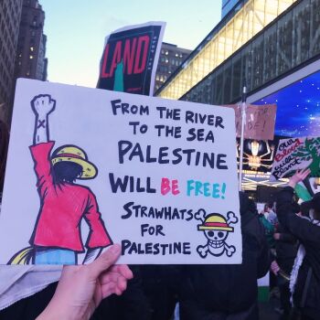 hat monkey_d._luffy one_piece palestine photo_(medium) placard politics protest real_life red_shirt shirt sign staryoo straw_hat