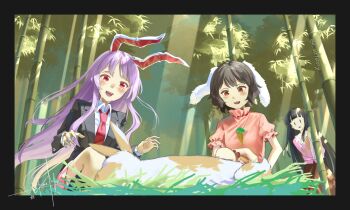 3girls animal_ears bamboo bamboo_forest black_hair black_jacket blazer brown_hair carrot_necklace crying crying_with_eyes_open day dress forest highres hime_cut houraisan_kaguya inaba_tewi jacket jewelry long_hair long_sleeves multiple_girls nature necklace necktie otomeza_ryuseigun pink_dress puffy_short_sleeves puffy_sleeves purple_hair rabbit_ears red_eyes red_necktie reisen_udongein_inaba short_sleeves skirt tears touhou twitter_username wide_sleeves |_|