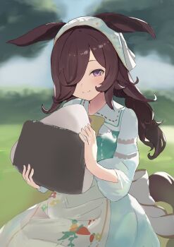 1girl absurdres animal_ears apron blush brown_hair closed_mouth commentary_request dress flipped_hair food hair_over_one_eye headscarf highres holding holding_food horse_ears horse_girl horse_tail long_hair looking_at_viewer low_twintails official_alternate_costume official_alternate_hairstyle onigiri oversized_food oversized_object puritan_collar purple_eyes rice_shower_(umamusume) rice_shower_(yummy_dreamy_fairy)_(umamusume) smile solo tail takinii twintails umamusume