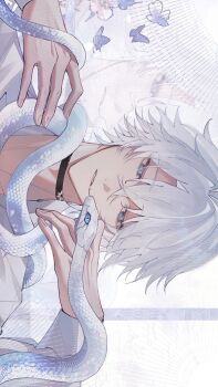 Rule 34 | 1boy, black choker, blue eyes, choker, collared shirt, commentary, highres, honkai: star rail, honkai (series), long sleeves, looking at animal, male focus, parted bangs, parted lips, phainon (honkai: star rail), shirt, short hair, snake, snake wrapped around neck, solo, wan xiaoliya, white hair, white shirt, white snake