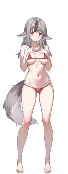 1girl animal_ears bikini blush breasts brown_eyes fire_emblem fire_emblem_fates gluteal_fold grey_hair hands_on_own_chest long_hair looking_at_viewer medium_breasts navel nintendo simple_background skindentation solo swimsuit tail velouria_(fire_emblem) vodka13 white_background wolf_ears wolf_girl wolf_tail