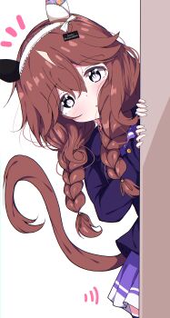 1girl absurdres animal_ears blush brown_hair commentary_request curren_bouquetd'or_(umamusume) grey_eyes hair_between_eyes hair_ornament hairband highres horse_ears horse_girl horse_tail jacket long_braid long_hair peeking_out school_uniform solo tail thighhighs tracen_school_uniform umamusume utsubo_(u-tubo) white_background