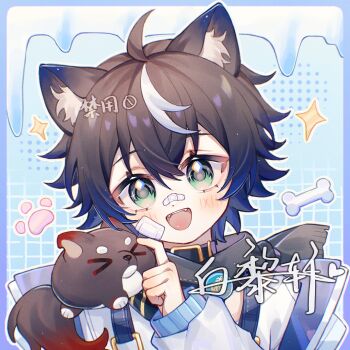 1boy :d ahoge animal_ear_fluff animal_ears bai_li_xuan bandaid bandaid_on_face bandaid_on_nose blue_background blush brown_hair dog_boy dog_ears fangs green_eyes hand_up long_sleeves looking_at_viewer male_focus multicolored_hair open_mouth original portrait shirt short_hair smile solo streaked_hair two-tone_hair white_hair white_shirt