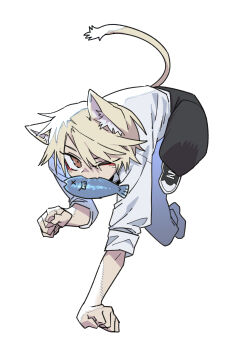 Rule 34 | 1boy, absurdres, all fours, animal ear fluff, animal ears, black pants, black shoes, blonde hair, cat boy, cat ears, cat tail, eyeliner, fang, feral instincts, fish, fish in mouth, high school boy, highres, hong iltak, makeup, pants, parkgee, red eyeliner, red eyes, sanpaku, shirt, shoes, simple background, skin fang, sneakers, solo, tail, white background, white shirt
