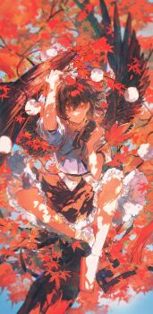 1girl absurdres black_hair black_wings blue_sky camera chinese_commentary commentary_request cui_suika feathered_wings full_body geta hat highres holding holding_camera leaf looking_at_viewer maple_leaf maple_tree neck_ribbon pom_pom_(clothes) red_eyes red_hat ribbon shameimaru_aya shirt short_hair short_sleeves sitting sitting_on_branch skirt sky smile solo tengu tengu-geta tokin_hat touhou tree wings