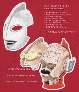 1boy alien anatomy artist_request biology bone brain chart cross-section cyborg diagram faceplate giant japanese_text machinery mask no_humans official_art organs schematic science science_fiction seijin skull superhero_costume translation_request tsuburaya_productions ultra_series ultraman ultraman_(1st_series) x-ray