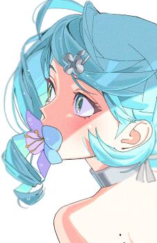 1girl absurdres bare_shoulders blue_eyes blue_hair collar flower flower_hairpin flower_in_mouth hair_ornament hairpin highres looking_to_the_side mole mole_on_shoulder multicolored_flower pd_honey seed_(zenless_zone_zero) shadow solo white_background zenless_zone_zero