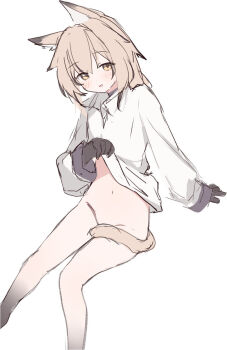 1girl animal_ear_fluff animal_ears blush bottomless brown_eyes brown_hair clothes_lift feet_out_of_frame groin highres lifting_own_clothes long_sleeves navel original puffy_long_sleeves puffy_sleeves riya_(01214) shirt shirt_lift simple_background sitting sleeves_past_wrists solo tail white_background white_shirt