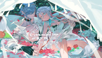 1boy 1girl apple aqua_eyes commission danbaofan_omuless dress food fruit grape looking_at_another open_clothes open_shirt original pointy_ears sitting