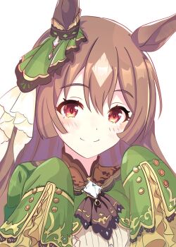 1girl animal_ears ascot blush bow braid breasts brown_ascot brown_eyes brown_hair commentary_request double-parted_bangs ear_ornament ear_ribbon hair_between_eyes half_up_braid half_updo highres horse_ears horse_girl kanon_(flowercanon) large_breasts long_hair long_sleeves looking_at_viewer multicolored_hair satono_diamond_(natural_brilliance)_(umamusume) satono_diamond_(umamusume) sleeves_past_fingers sleeves_past_wrists smile solo streaked_hair umamusume very_long_hair