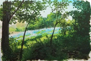 absurdres aqua_flower bush commentary_request day field flower flower_field grass harusa1107 highres hill nature no_humans original painting_(medium) plant sapling scenery shadow sunlight traditional_media tree tree_shade watercolor_(medium)