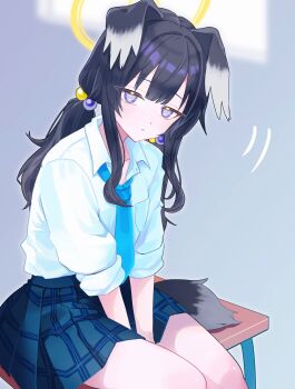 1girl alternate_costume animal_ears arms_between_legs black_hair blue_archive blue_necktie blue_skirt breast_pocket collared_shirt commentary_request diamond-shaped_pupils diamond_(shape) dog_ears dog_tail eyelashes hair_bobbles hair_intakes hair_ornament halo hibiki_(blue_archive) highres long_hair looking_at_viewer necktie parted_lips plaid_clothes plaid_skirt pocket purple_eyes school_uniform shirt sidelocks sitting sitting_on_table skirt sleeves_rolled_up solo symbol-shaped_pupils table tail tax_(zeita_gundam) twintails white_shirt yellow_halo