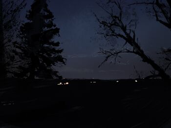 absurdres city_lights commentary dark forest highres horizon landscape nature night no_humans original outdoors painterly scenery silhouette symbol-only_commentary tree twulfs