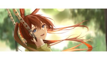 1girl :d amiya_(arknights) animal_ears arknights blue_eyes blurry blurry_background border brown_hair chain commentary_request from_side green_jacket hands_up highres holding holding_chain jacket letterboxed long_hair long_sleeves looking_at_viewer on_swing open_mouth outdoors ponytail portrait rabbit_ears sleeves_past_wrists smile solo swing swinging_on_swing turning_head yuu_(kranblume)