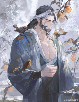 1boy absurdres bara beard bird black_hair blue_robe branch chinese_clothes chinese_commentary chinstrap_beard closed_mouth commentary_request dashong_(the_legend_of_luoxiaohei) facial_hair food fruit grey_eyes henrryxv highres long_hair luo_xiaohei_zhanji male_focus mature_male multicolored_hair muscular muscular_male orange_(fruit) parted_hair pectoral_cleavage pectorals robe solo streaked_hair thick_eyebrows upper_body watermark weibo_watermark white_streaks wide_sleeves