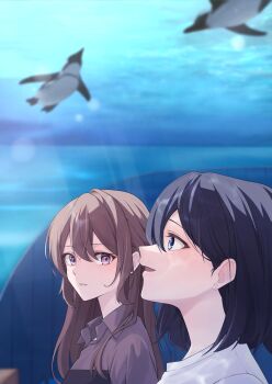 2girls absurdres animal_ears aquarium bird black_hair blue_eyes brown_hair commentary hashtag-only_commentary highres kyo6159 long_hair looking_at_another medium_hair miyagi_shiori multiple_girls open_mouth penguin purple_eyes sendai_hazuki shuuniichido_classmate_wo_kau_hanashi sunshine_aquarium