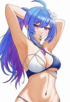 Rule 34 | 1girl, absurdres, arms behind head, azur lane, bikini, blue hair, blush, breasts, cleavage, commentary, english commentary, flower, hair between breasts, hair between eyes, hair flower, hair ornament, happy, helena (azur lane), helena (shimmering triangle wave) (azur lane), highres, hip focus, long hair, medium breasts, mouth hold, multicolored bikini, multicolored hair, navel, ponytail, purple eyes, purple hair, smile, solo, stomach, swimsuit, two-tone bikini, two-tone hair, tying hair, upper body, very long hair, white flower, wororg