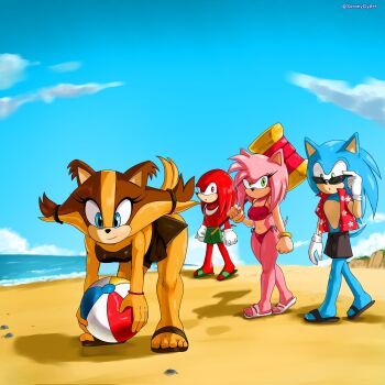 amy_rose ass ball bare_legs beachball bent_over bikini blue_eyes blue_fur blue_hair bra brow_fur brown_hair feet green_eyes hair_tie hairband hammer highres jealous knuckles_the_echidna kyojiri_loli legs loli ocean orange_fur orange_hair pink_fur pink_hair purple_eyes red_fur red_hair sand sandals sega shirt shorts skirt sonic_(series) sonic_boom_(series) sonic_the_hedgehog soranygyart sticks_the_badger sunglasses swimsuit tail toes toy_hammer twintails underwear