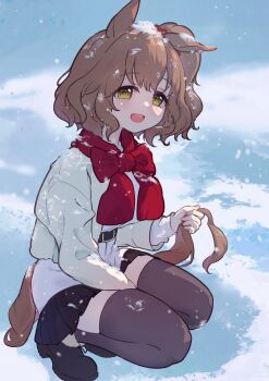 1girl absurdres animal_ears aston_machan_(umamusume) belt belt_buckle black_belt blush bow brown_hair brown_tail buckle commentary green_eyes highres holding_own_tail horse_ears horse_girl horse_tail jacket long_sleeves looking_at_viewer medium_hair modi one_side_up open_clothes open_jacket open_mouth outdoors red_bow red_scarf scarf scarf_bow smile snow snow_on_head snowing solo squatting symbol-only_commentary tail teeth thighs umamusume upper_teeth_only white_jacket