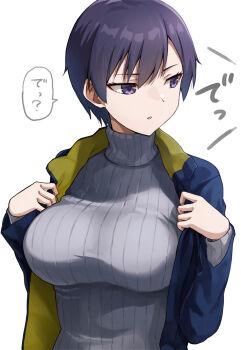 1girl breasts hashi jacket large_breasts short_hair sweater tag tagme