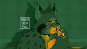 1boy animal_ears artist_name cat_boy cat_ears cigarette commentary drownedfag fire furry furry_male in_bathtub knee_to_chest lighter lighting_cigarette male_focus nude pawbert_lynxley pawpads shadow smoking untranslatable_commentary whiskers zootopia zootopia_2