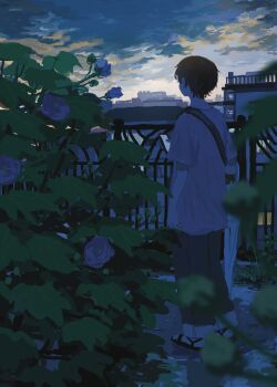 Rule 34 | 1other, bag, black hair, blue flower, blurry, blurry foreground, building, cellphone, cloud, cloudy sky, dawn, facing away, flower, grey shirt, highres, holding, holding phone, morning, oimoti tn, original, pants, phone, pink flower, plant, railing, sandals, shirt, short hair, short sleeves, shoulder bag, sky, smartphone, solo, standing, umbrella, umbrella on arm