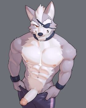 1boy abs animal_ears bara bare_pectorals biceps clothes_pull commentary english_commentary erection eyepatch furry furry_male grey_fur grin highres jrjresq looking_at_viewer looking_up male_focus muscular muscular_male navel nintendo nipples one_eye_covered pants pants_pull pectorals penis presenting_penis smile star_fox topless_male white_fur wolf_boy wolf_ears wolf_o&#039;donnell wristband
