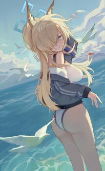 1girl absurdres animal_ear_fluff animal_ears aoi_233 ass bird blonde_hair blue_archive blue_eyes blue_halo blue_sky breasts cloud commentary_request competition_swimsuit day dog_ears dog_girl extra_ears feet_out_of_frame from_behind grey_jacket hair_over_one_eye halo highleg highleg_one-piece_swimsuit highres jacket kanna_(blue_archive) kanna_(swimsuit)_(blue_archive) long_hair looking_at_viewer medium_breasts notched_ear official_alternate_costume one-piece_swimsuit outdoors ponytail seagull sky solo swimsuit wading water white_one-piece_swimsuit