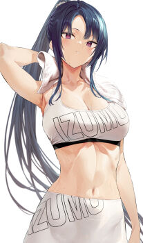 1girl absurdres armpits bare_shoulders black_hair breasts cleavage crop_top drying drying_body highres hiiragi_yuuichi large_breasts leggings long_hair looking_at_viewer midriff navel original pants ponytail red_eyes simple_background solo sports_bra sportswear standing sweat towel white_background yoga_pants