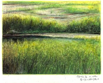 baden_hiroshi border colored_pencil_(medium) day field highres making-of_available no_humans original outdoors real_world_location river scenery traditional_media white_border