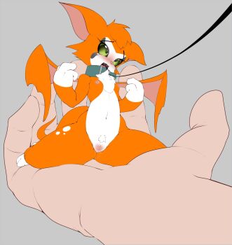 1girl @_@ animal_ears animal_feet animal_hands animal_nose barefoot black_eyes blush body_fur cleft_of_venus collar colored_sclera disembodied_hand dust:_an_elysian_tail female_focus fidget_(dust:_an_elysian_tail) fir3born flat_chest flat_color furry furry_female furry_with_non-furry green_sclera hands_up highres interspecies leash looking_up mini_person minigirl navel neck_fur nipples nose_blush nude open_mouth orange_fur orange_hair pet_play pussy pussy_juice saliva short_hair sitting sketch solo_focus spread_legs stomach sweat tail thick_thighs thighs two-tone_fur uncensored wariza wavy_mouth white_fur wings