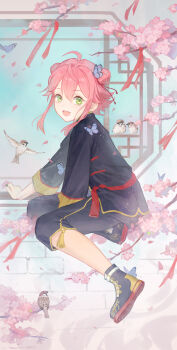 1boy :3 absurdres ahoge androgynous between_legs bird black_footwear black_jacket black_shorts brick_wall bug butterfly butterfly_on_head cherry_blossoms crf double_bun ensemble_stars! eurasian_tree_sparrow flipped_hair flower full_body gradient_background hair_bun hair_ornament hand_between_legs hand_rest happy highres himemiya_tori himemiya_tori_(togenkyo) holding holding_flower insect jacket long_sleeves looking_at_viewer looking_back male_focus official_alternate_costume on_branch open_mouth pink_hair shorts sidelocks sitting sitting_on_branch sparrow window yellow_trim