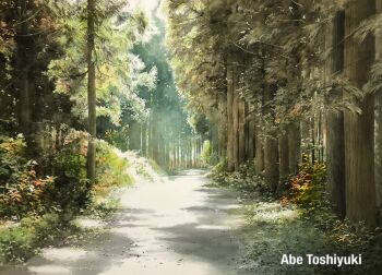 abe_toshiyuki artist_name commentary_request day forest highres nature no_humans original outdoors painting_(medium) path plant road scenery shadow sunlight traditional_media tree watercolor_(medium)