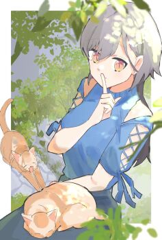 1girl animal animal_on_lap bare_shoulders blue_shirt breasts casual cat cat_on_lap cat_stretch closed_mouth clothing_cutout commentary cross-laced_clothes cross-laced_sleeves finger_to_mouth grey_hair highres katsuragi_izumi katsuragi_izumi_(izayoi_selene_casual) link!_like!_love_live! long_hair looking_at_viewer love_live! medium_breasts official_alternate_costume on_lap open_mouth shirt shoulder_cutout shushing sleeping_animal slit_pupils smile solo stretching virtual_youtuber wolf_cut zen66574227