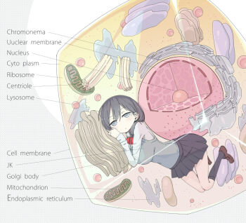 1girl biology black_hair black_socks breasts cell cell_(biology) english_text engrish_text female_focus grey_eyes kneehighs large_breasts loafers long_hair looking_at_viewer mitochondria original pleated_skirt ranguage sakurai_energy school_uniform science shoes skirt socks solo typo vest