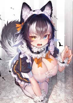 Rule 34 | 1girl, akuma (st.takuma), alternate costume, animal ears, black dress, black hair, blue eyes, blush, bow, breasts, center frills, claw pose, cleavage, commentary, dress, enmaided, frilled dress, frills, fur collar, grey wolf (kemono friends), heterochromia, highres, kemono friends, kneeling, large breasts, long hair, looking at viewer, maid, maid headdress, multicolored hair, orange bow, puffy short sleeves, puffy sleeves, short sleeves, solo, tail, two-tone hair, white hair, wolf ears, wolf girl, wolf tail, wrist cuffs, yellow eyes