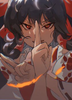 1girl close-up hair_ribbon hakurei_reimu highres kinoko_(kino2435006) long_hair looking_at_viewer paw_print red_eyes red_ribbon ribbon slit_pupils solo straight-on touhou