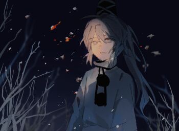 Rule 34 | 1girl, branch, grey eyes, grey hair, hair between eyes, hashtag-only commentary, hat, long hair, long sleeves, mononobe no futo, night, outdoors, parted lips, pom pom (clothes), ponytail, shirt, sidelocks, smile, solo, tate eboshi, touhou, tree, upper body, white shirt, wssjzwcmd