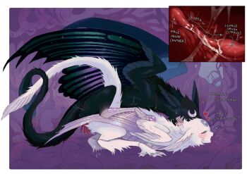 1boy 1girl biting black_fur black_tail black_wings body_fur border breath cum ejaculation feathered_dragon forehead_jewel harpy highres internal_cumshot jejejunum monster monster_girl nethermare original penis plant_roots red_penis secret_(jejejunum) sex whisper_(jejejunum) white_border white_fur white_tail white_wings wings