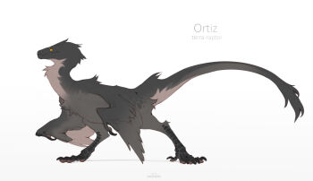 animal_focus artist_name claws closed_mouth commentary dinosaur english_commentary feathered_arms feathered_dinosaur feathers flat_color full_body grey_feathers haskiens no_humans original raptor reference_sheet simple_background sketch solo standing tail utahraptor velociraptor yellow_eyes