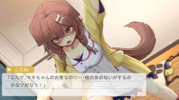 animal_collar animal_ears aobara_hairi bag blue_bow blurry blurry_background bone_hair_ornament bow braid breasts brown_eyes brown_hair cartoon_bone caught cheating_(relationship) collar commentary_request dog_ears dog_girl dog_tail empty_eyes fang finger_grab glowing glowing_eyes glowing_pupils hair_between_eyes hair_ornament hairclip highres hololive inugami_korone inugami_korone_(1st_costume) jacket japanese_text kabedon kabedon_on_viewer low_twin_braids medium_breasts medium_hair off_shoulder open_clothes open_jacket red_bow red_collar shaded_face standing tail teeth translation_request twin_braids upper_teeth_only virtual_youtuber visual_novel yandere