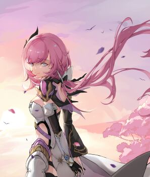 1girl absurdres arms_behind_back black_gloves blue_eyes breasts corset elf elysia_(honkai_impact) elysia_(miss_pink_elf)_(honkai_impact) from_side gloves hair_ornament highres honkai_(series) honkai_impact_3rd long_hair looking_at_viewer medium_breasts outdoors pink_hair pink_sky pointy_ears sky solo very_long_hair white_corset yanjie