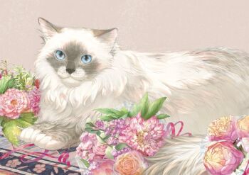 animal animal_focus cat commentary_request flower no_humans original pink_flower pink_rose purple_flower purple_ribbon ragdoll_(cat) ribbon rose sunoji08