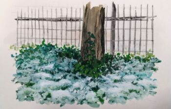 absurdres bush commentary_request fence frost harusa1107 highres iron_fence no_humans original painting_(medium) plant plant_focus snow traditional_media tree vines weeds white_background