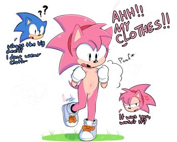 1girl absurdres amy_rose black_eyes classic_amy highres loli nipples nude pussy sonic_(series)
