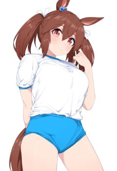 1girl animal_ears blue_buruma breasts brown_hair buruma commentary_request gym_shirt gym_uniform hair_between_eyes hishi_akebono_(umamusume) horse_ears horse_girl horse_tail large_breasts looking_at_viewer nerukichikatafukuma red_eyes ribbon shirt short_sleeves solo tail thighs twintails umamusume white_ribbon white_shirt