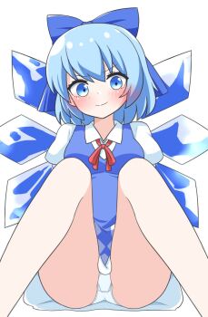 1girl blue_bow blue_dress blue_eyes blue_hair blush bow cirno closed_mouth crotch_seam dress feet_out_of_frame hair_bow highres ice ice_wings knees_together_feet_apart looking_at_viewer neck_ribbon panties pinafore_dress red_ribbon ribbon shirt short_hair simple_background sitting sleeveless sleeveless_dress smile solo touhou underwear white_background white_panties white_shirt wings zenji029