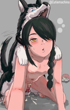 1girl all_fours animal_penis bestiality black_hair blush breasts chainsaw_man character_doll cum cum_in_pussy cutiemachina dog dog_penis doll grey_background knotted_penis loli navel nayuta_(chainsaw_man) nipples nude open_mouth penis ringed_eyes sex small_breasts sweat vaginal yellow_eyes