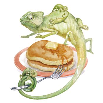 Rule 34 | absurdres, animal, animal focus, baby animal, butter, chameleon, commentary request, food, food focus, highres, kanou (pixiv 37964562), maple syrup, no humans, original, painting (medium), pancake, pancake stack, simple background, traditional media, watercolor (medium), white background